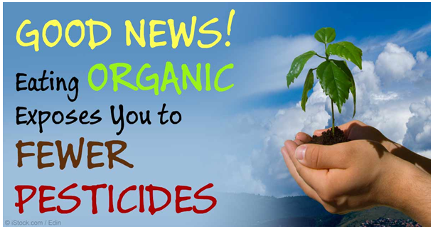 Pesticides | Fewer pesticides