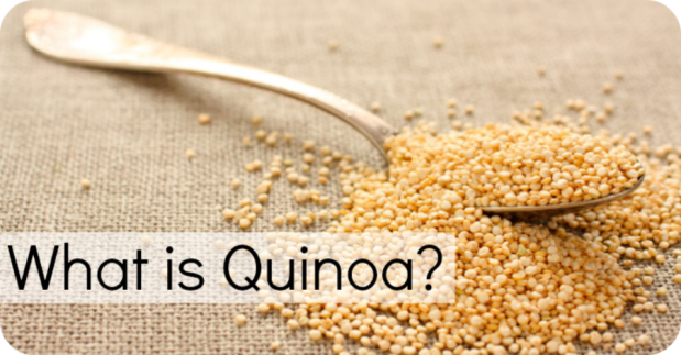 What-Is-Quinoa-